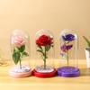 Valentine's Day Immortal Flower Glass Cover Gold Foil Rose Romantic Bouquet Ornament Couple New Year Birthday Gift