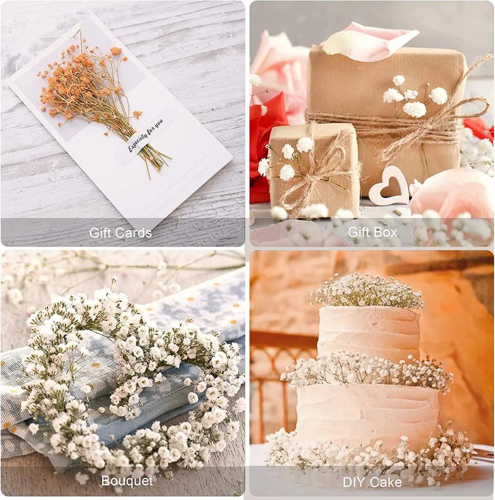 Dried Flowers Babys Breath Bouquet Ivory White Flowers Natural Gypsophila Branches for Home Decor Wedding Flowers Bulk for Vase