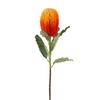Artificial Banksia Flower Innovative Simulation Light Luxury Artificial Flowers Decorations for