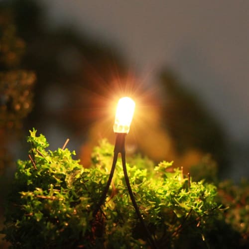 Pack of 50 4mm 12V 70mA Wheat Bulbs, Compact, with Wiring, for Diorama Lighting, Model Trains, Railways, Buildings, and More (GPW05W-50JP)