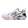 Li Ning Badminton Collection Badminton Shoes Unisex AYZW007-1