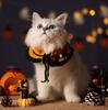 Funny Halloween Cat Scarves and Pet Clothes Cute Plush Toys Cat Accessories Cat Hats Dog Bibs Cute Collars