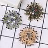 Modieuze retro broche met strass steentjes, sneeuwvlokvorm, gegalvaniseerd, duurzaam, perfect voor feestjes en als accessoire voor kleding.