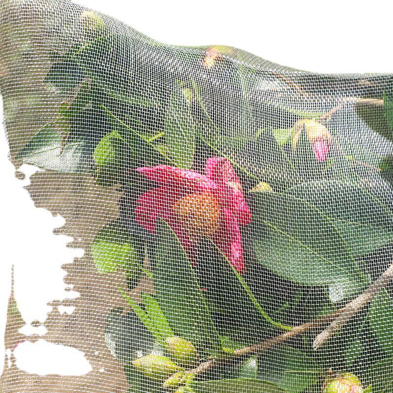 White Nylon Garden Insect Net Drawstring Cover for Plants & Fruit Trees