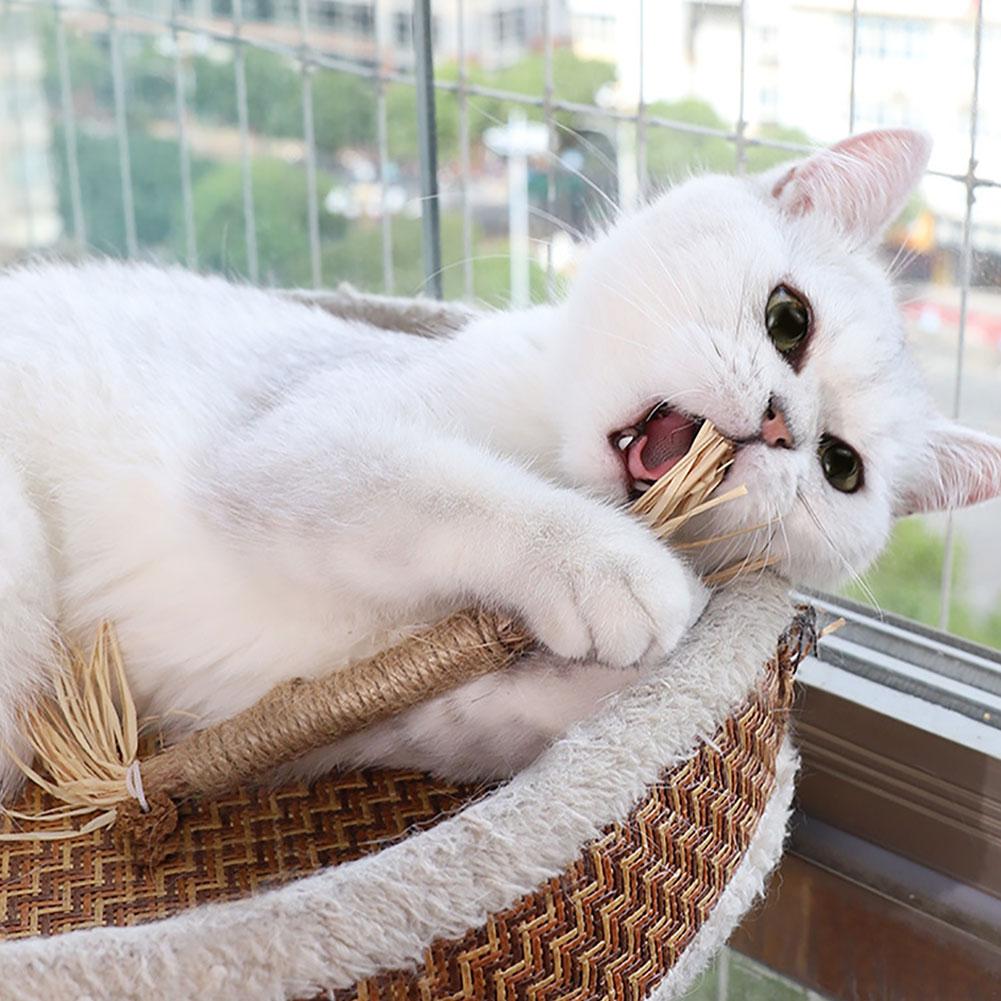 Cat Toys Silvervine Chew Stick Pet Supplies Cleaning Teeth Stick Pet Bite Cat Toy Hemp Rope