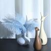 25-30cm Large Ostrich Feather for Wedding Bouquet or Photo Decoration