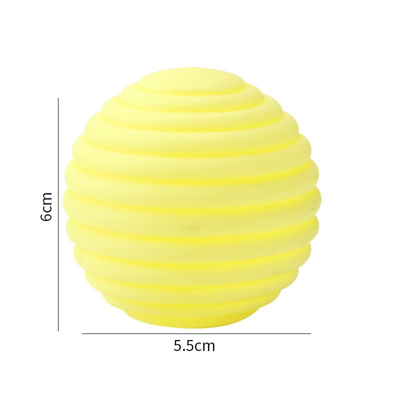 Interactive Bite-Resistant Vinyl Dog Toy for Teething and Water Play