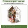 Reptile – Terarii pentru reptile