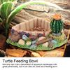 Reptile Pet Turtle Tortoise Lizard Feeding Water Bowl Plate with Cactus Home Decoration