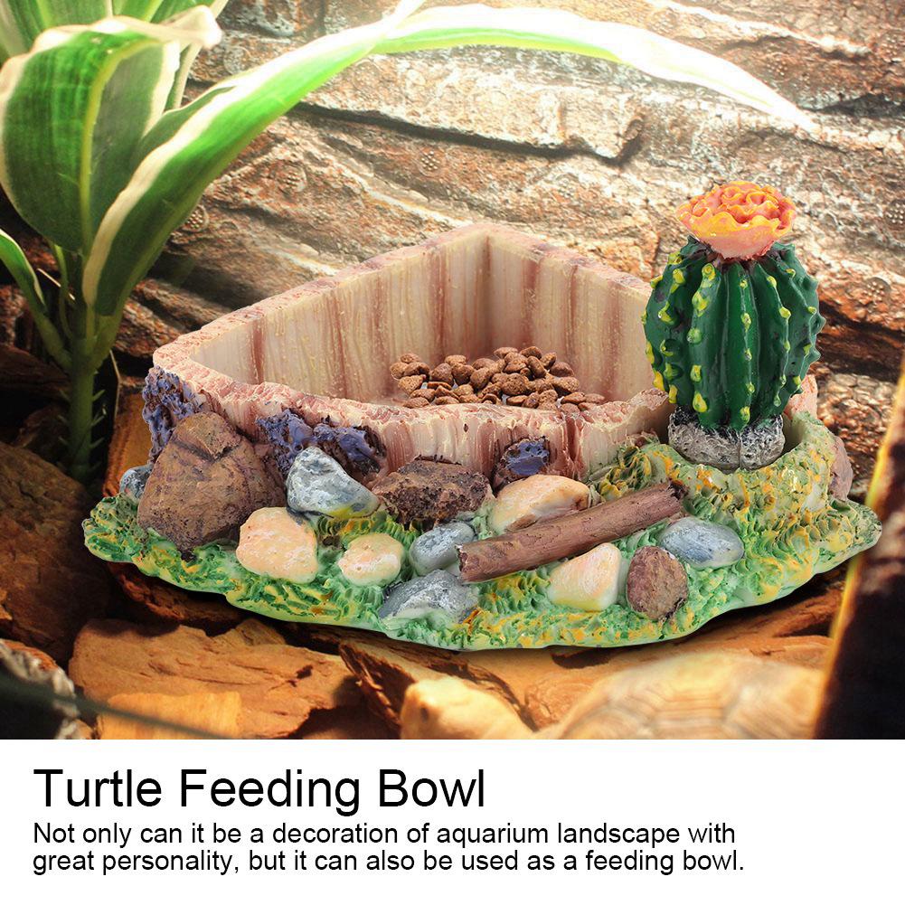 Reptile Pet Turtle Tortoise Lizard Feeding Water Bowl Plate with Cactus Home Decoration