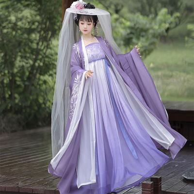 Chinese Style Hanfu Embroidered Double Sleeve Shirt HE ZI Skirt Suit
