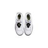 Jordan 6 Retro Alligator PS 384666-110