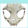 Exquisite White Beast Bone Halloween Mask For Festive Costume Play And Parties