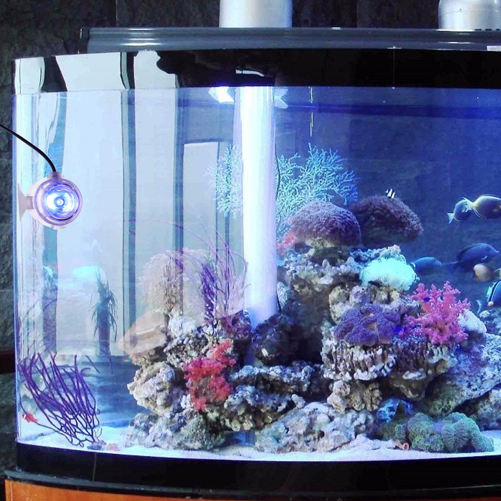 Wasserdichter LED-Strahler für Aquarium 360°-Winkelverstellung Konvexe Linse Tauchlampe Zierlampe für Aquarium Pool Vase