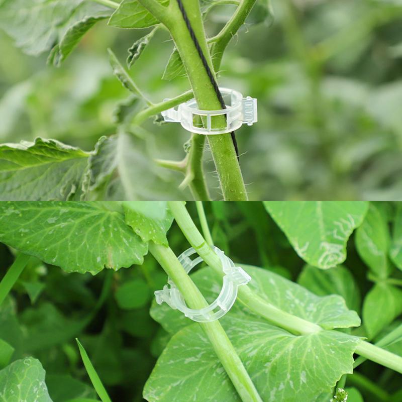 100 Pcs Plastic Plant Clips For Climbing Plants Clear Plant Fixing Clip Tomato Trellis Clips Plant Support Clips Vine Fixing Clip