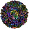 10/30/50pcs Neon Style Dinosaur Graffiti Stickers Kawaii Animal Decals DIY Skateboard Helmet Bicycle Cute Cartoon Sticker