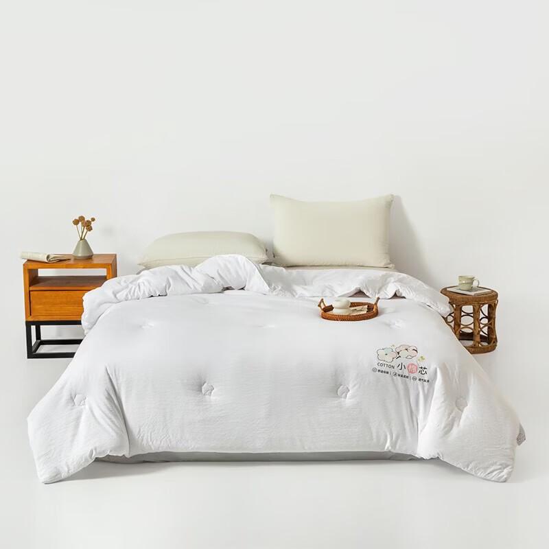 MINISO Xinjiang Cotton Quilt