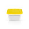 Disposable Food Containers with Lids