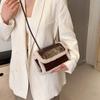 Chic Retro Casual Small Crossbody Bag For Spring In Black Brown Beige Green Shades