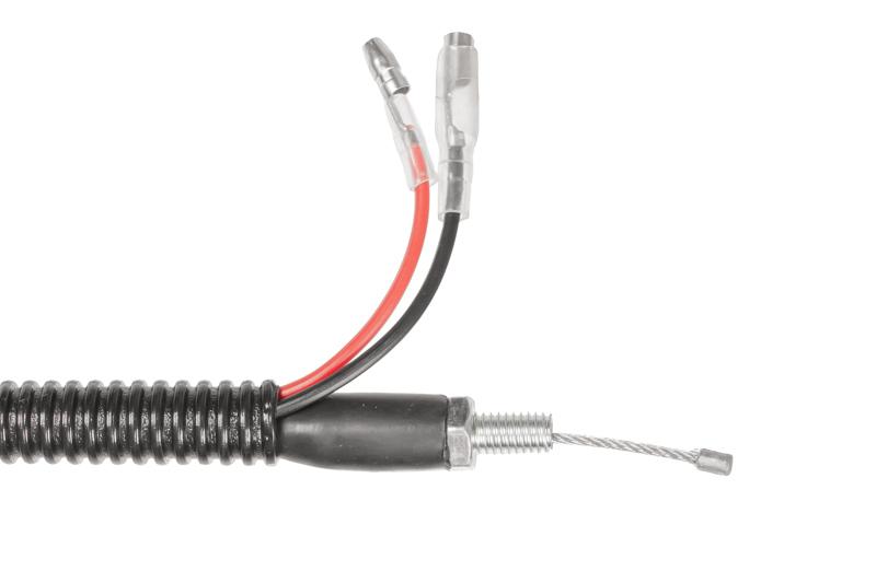 Manetka Kpl. Cedrus Świder Cedsw03 600143