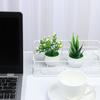 Gefälschte Blumen Simulierte Baum Topf Pflanzen Büro Tisch Topf Ornamente Künstliche Aloe Pflanzen Bonsai