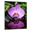GLAS-SCHNEIDEBRETT 40x52 Orchidee
