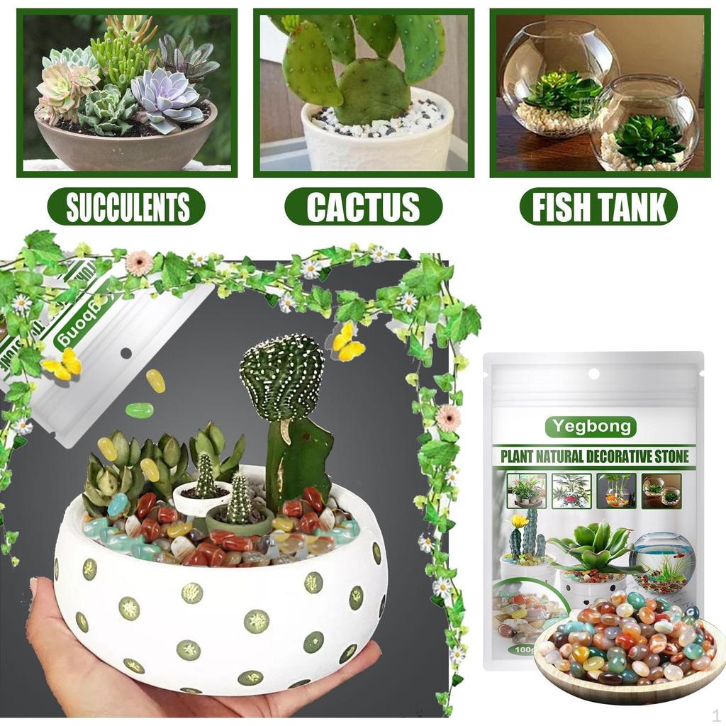 Buy Gravel Stones Decorative Landscaping Stones for Landscape Scene Terrariums at affordable