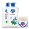 Safeguard Healthy Cleansing Mint Shower Gel & Fresh Soap Bundle
