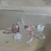 Cute Jellyfish Star Charm Phone Chain for Women Girls Handmade Beaded Keychain