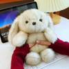 Fluffy Big Ear Rabbit Plush Toy Interactive Stuffed Animals Rabbit Toy  Birthday Parties