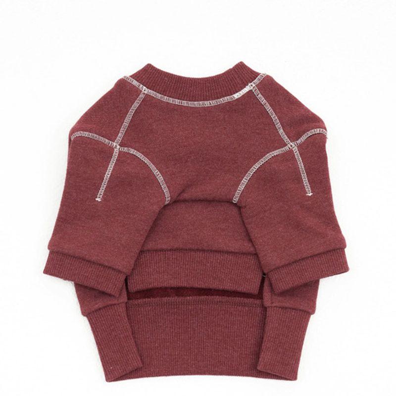 Sweatshirt graphique CROOKTHECHIHUAHUA Logo - dahlia rouge