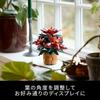 LEGO Botanical Poinsettia Building Set 10370 Decorative Toy for Home and Garden