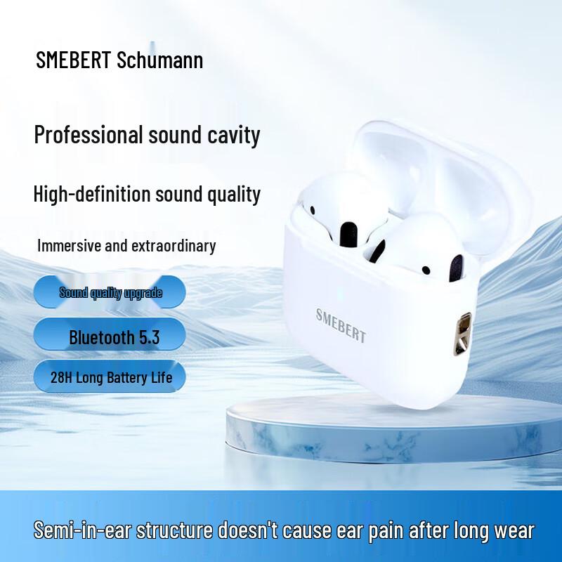 

SMEBERT X1 Wireless Noise Cancelling In-Ear Earbuds