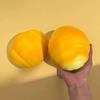 Soft Cute Slow Rising Bread Squeezable Toy Simulated Toast Calming Sensory Fidget Toys For Kids Adults