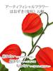 [2025] Obon Festival, Ground Cherry Artificial Flower, Ground Cherry, Grave Visit, Higan, 1 Piece, Bon Festival Flower Decoration, Ullambana