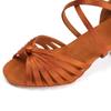 Pantofi de dans latino profesionisti pentru femei Salsa Pantofi de dans pentru interior Toc mijlociu 5cm