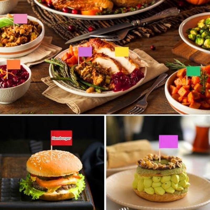 100pcs Colorful Blank Toothpick Flags, 10 Colors Rectangular Food Toothpick Flags, Solid Color Toothpick Labels for Party Cupcakes Appetizers Decor