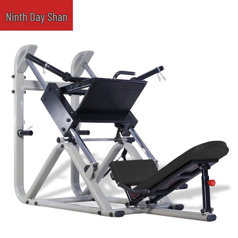 Jiu Ri Shan Commercial Leg Press & Squat Machine