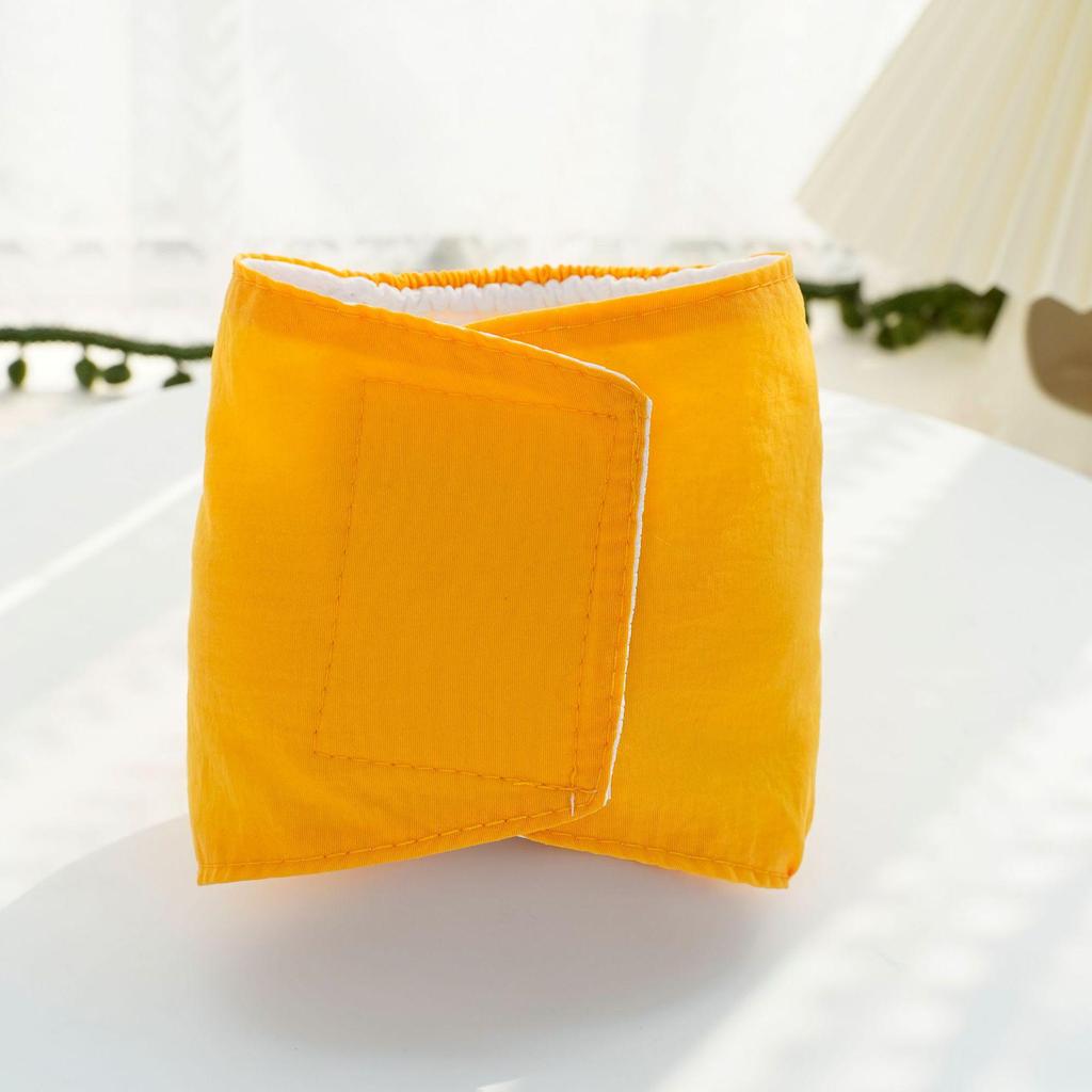 Pet Kitten & Female Dog Anti-Harassment Menstrual Diaper Clothing