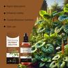 Liquid Rooting Booster 60ml Plant Root Stimulator Concentrate for Propagation Seedlings Cuttings Houseplants Pothos Monstera