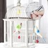 10Pcs Spring Door Latches For Rabbit, Quail, Chicken Cages & Other Pet Cage Door
