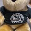 [USED] US ARMY AIR FORCE Teddy Bear Plush Souvenir