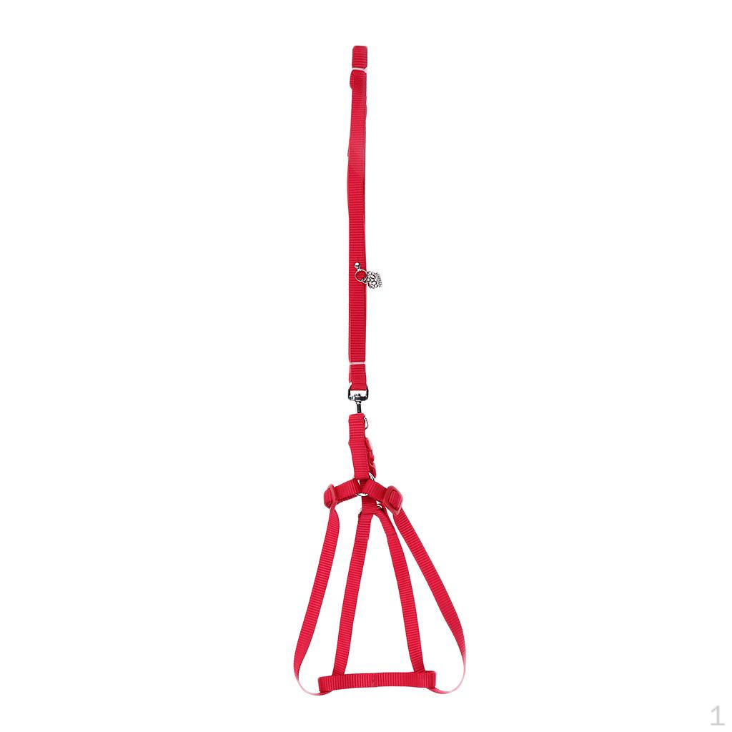 

Регулируемый поводок и хорек L