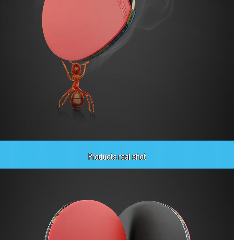 Hui Sheng Samsung High Elasticity Pure Wood Penhold Table Tennis Racket Set