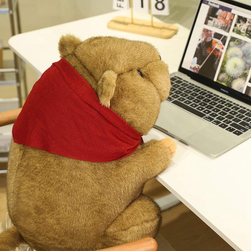 Groundhog Stuffed Plush Toys Plush Filled Animal Adorable Red Scarf Groundhog Sleeping Companion Dolls Gifts
