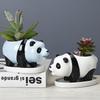 New Gardening Cartoon Panda Ceramic Flower Pot Simple Creative Succulent Pot Ornament