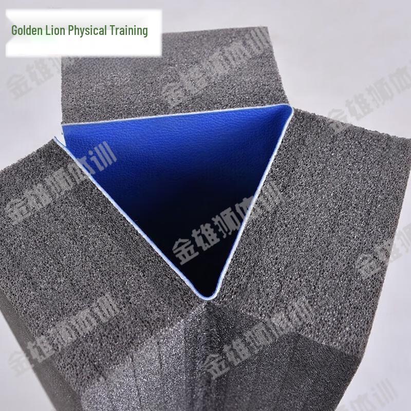 Golden Lion High-Density Martial Arts Training Mat