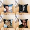 Actor And Singer Xu Guanghan Pillow Case Fashion Square Pillowcase Bedroom Sofa Room Ins Decoration Leisure