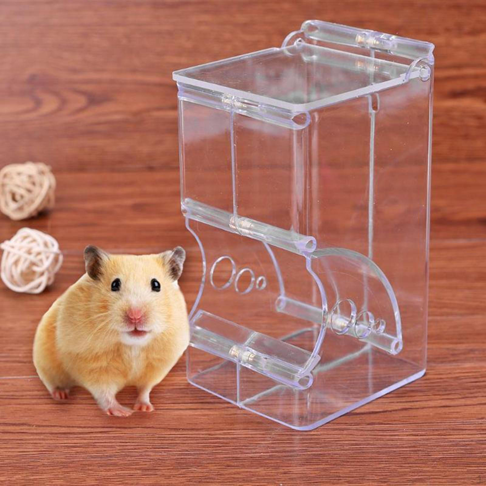 Feeder for Small Animals A