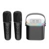 Y1 Mini Microphone Family Karaoke Machine 90W High Power Wireless Portable Microphone Bluetooth Speaker Stereo Karaoke Subwoofer